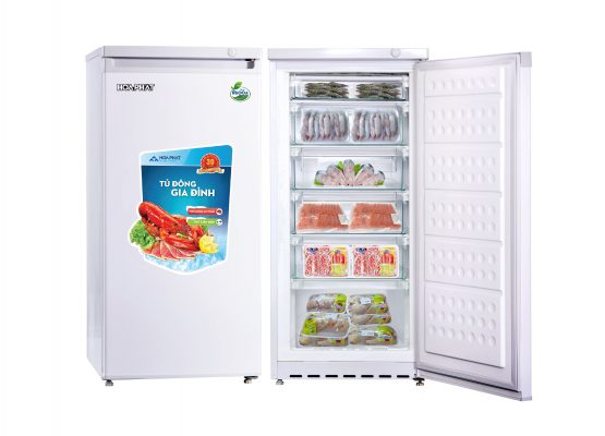 TỦ ĐÔNG ĐỨNG HÒA PHÁT 152 LÍT HCF 166S