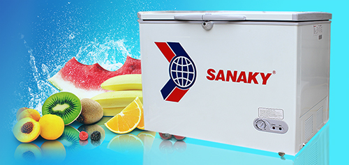 Phân loại tủ đông Sanaky